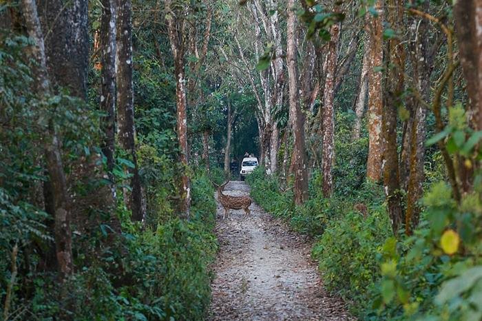 Chitwan National Park
